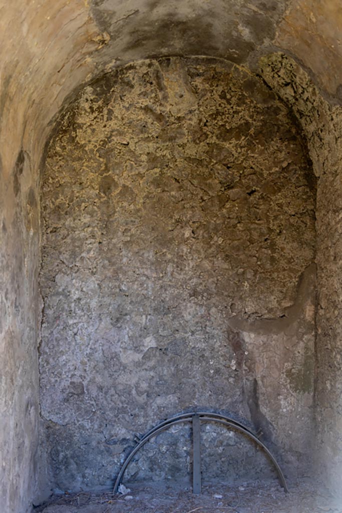VII.8.1 Pompeii. October 2023. 
North wall of room at west end of north wall. Photo courtesy of Johannes Eber.