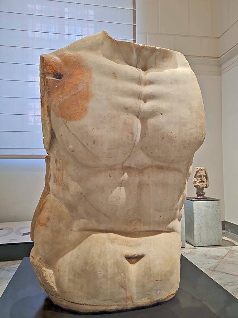 VII.8.1 Pompeii. April 2023. Detail of block of white marble reworked to create the torso of a colossal statue.
On display in “Campania Romana” gallery in Naples Archaeological Museum.  Photo courtesy of Giuseppe Ciaramella.
