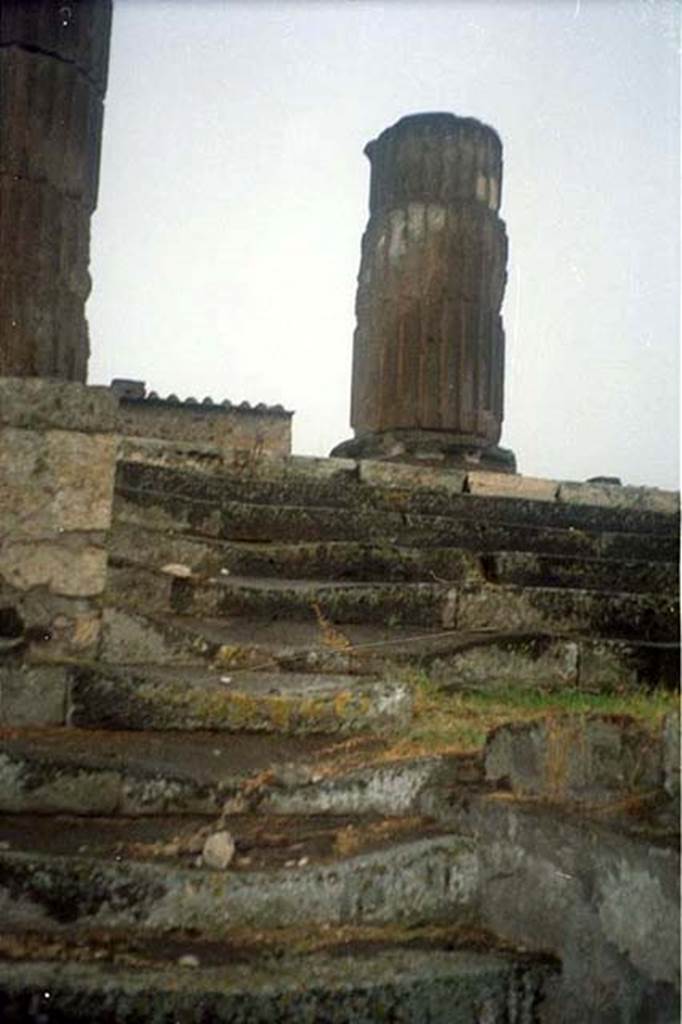 VII.8.1 Pompeii. July 2011.
Temple of Jupiter, steps leading up the podium on west side. 
Photo courtesy of Rick Bauer.