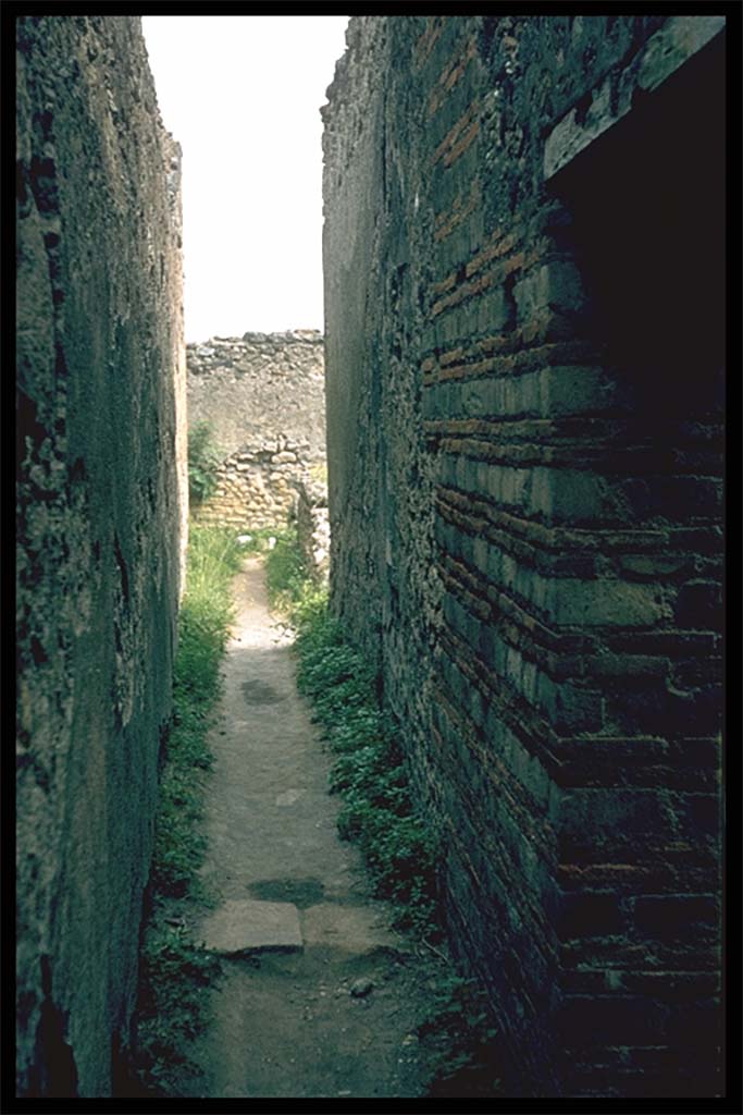 VII.9.1 Pompeii. Looking south from north corridor 12. 
Photographed 1970-79 by Günther Einhorn, picture courtesy of his son Ralf Einhorn.