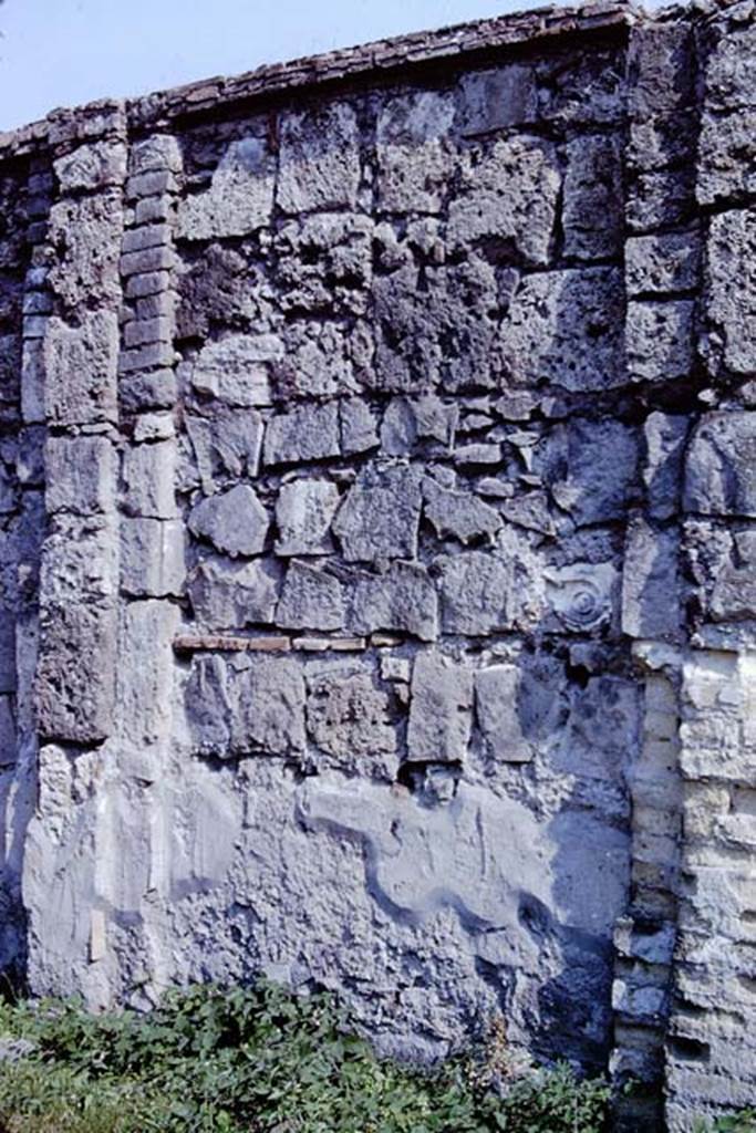 VII.9.2 Pompeii. 1966. South wall, fourth panel from the left.  Photo by Stanley A. Jashemski.
Source: The Wilhelmina and Stanley A. Jashemski archive in the University of Maryland Library, Special Collections (See collection page) and made available under the Creative Commons Attribution-Non Commercial License v.4. See Licence and use details.
J66f0244