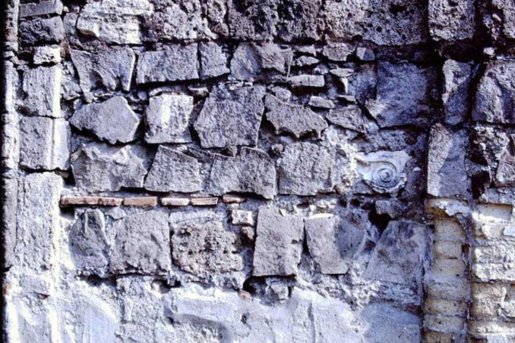 VII.9.2 Pompeii. 1966. South wall, detail from fourth panel from the left.  Photo by Stanley A. Jashemski.
Source: The Wilhelmina and Stanley A. Jashemski archive in the University of Maryland Library, Special Collections (See collection page) and made available under the Creative Commons Attribution-Non Commercial License v.4. See Licence and use details.
J66f0245