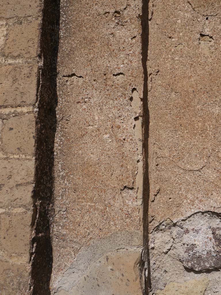 VII.9.2 Pompeii. March 2019. Detail of pillar along north wall towards centre.
Foto Anne Kleineberg, ERC Grant 681269 DÉCOR.