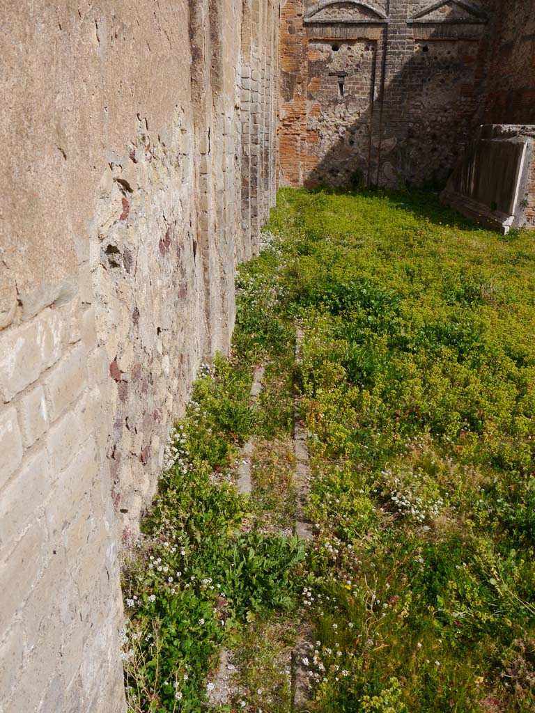 VII.9.2 Pompeii. March 2019. Looking east along north wall to north-east corner. 
Foto Anne Kleineberg, ERC Grant 681269 DÉCOR.