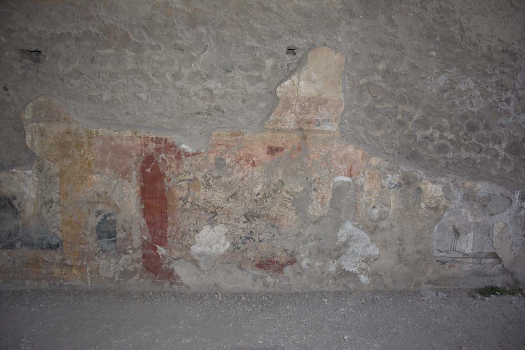 VII.9.7/8 Pompeii. October 2017. Zoccolo from lower north wall
Foto Annette Haug, ERC Grant 681269 DÉCOR.