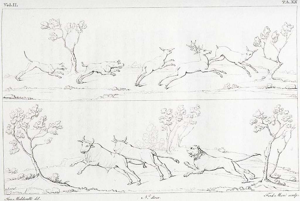 VII.9.7 and VII.9.8 Pompeii.  Pre-1825 drawings of two hunt scenes seen in the zoccolo of the walls in the Macellum.
See Real Museo Borbonico, 1825, Vol. II, Tav. XX.