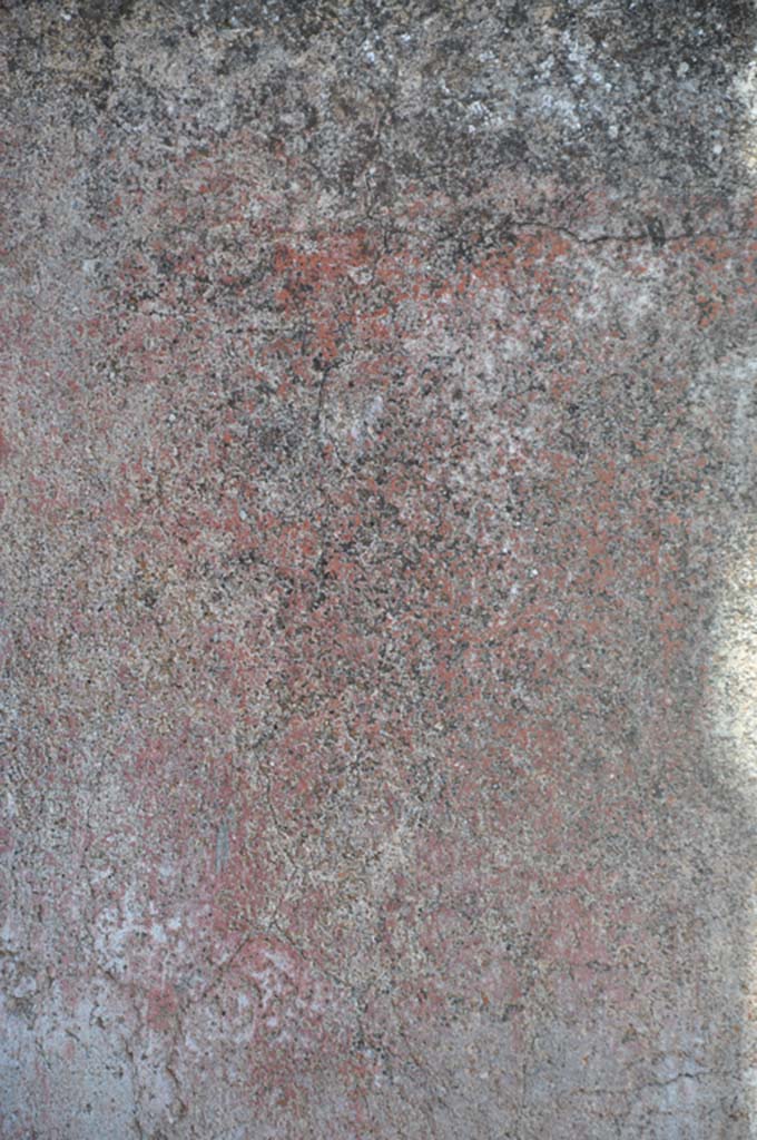 VII.9.7/8 Pompeii. July 2017. 
Detail of remaining painted plaster on lower east wall at north end.
Foto Annette Haug, ERC Grant 681269 DÉCOR.