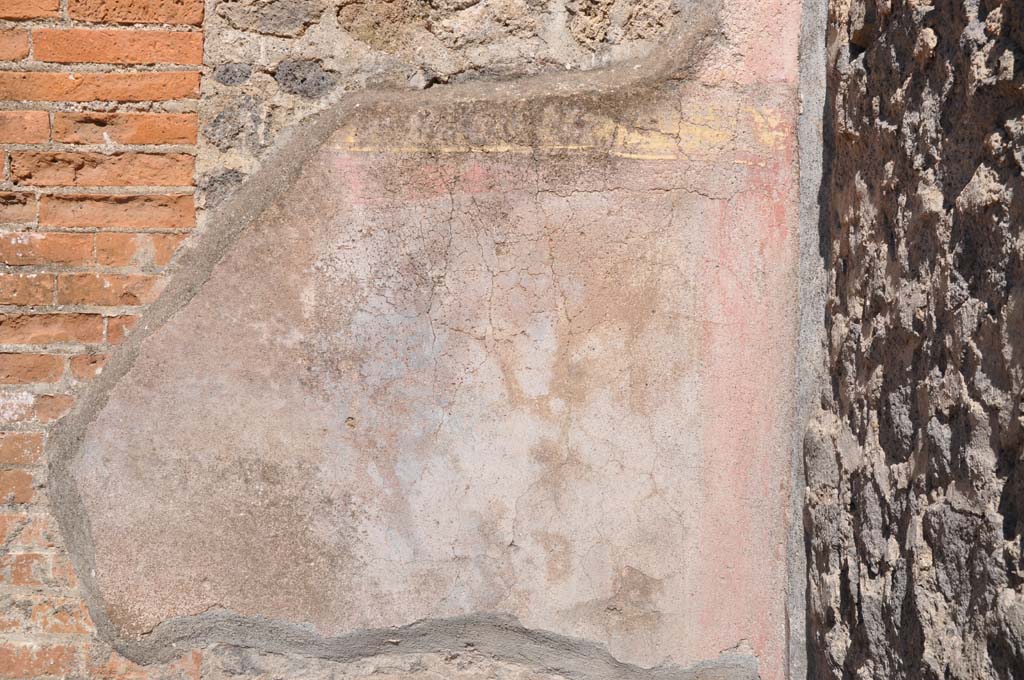 VII.9.7/8 Pompeii. July 2017. Detail of painted plaster on east wall in south-east corner.
Foto Annette Haug, ERC Grant 681269 DÉCOR.
