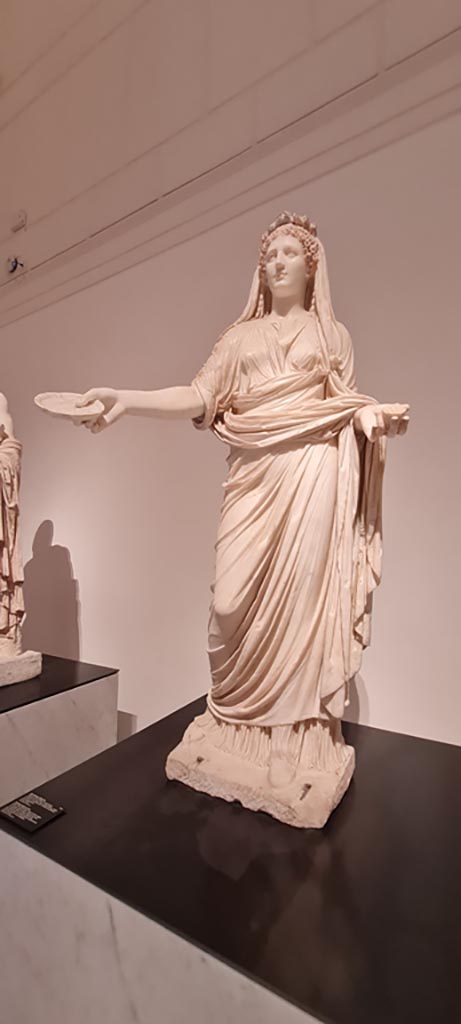 VII.9.7 and VII.9.8 Pompeii. Macellum. April 2023. Statue from shrine. 
On display in “Campania Romana” gallery in Naples Archaeological Museum, inv. 6041.
Photo courtesy of Giuseppe Ciaramella.
.VII.9.7 and VII.9.8 Pompeii. Macellum. April 2023. Statue of priestess from shrine. 
On display in “Campania Romana” gallery in Naples Archaeological Museum, inv. 6041.
Photo courtesy of Giuseppe Ciaramella.