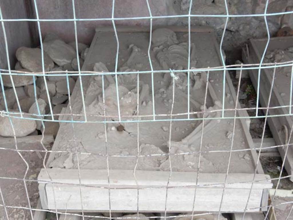 VII.9.7 and VII.9.8 Pompeii. Macellum. May 2015. Shop on south side containing Bronze Age skeletons. Photo courtesy of Buzz Ferebee.