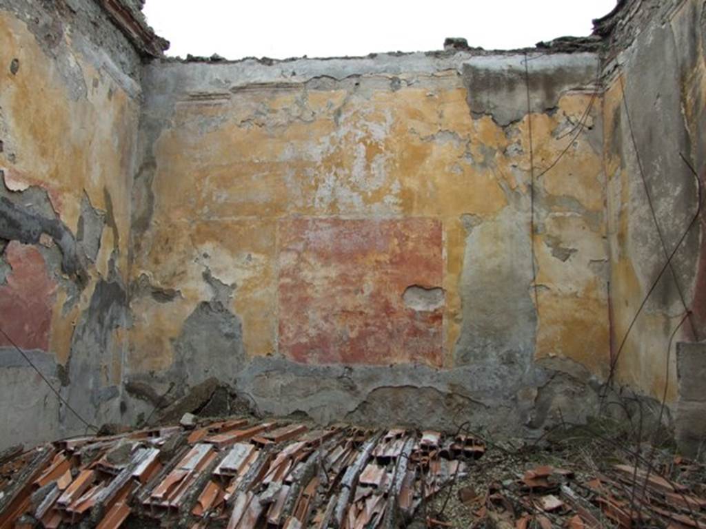 VII.9.47 Pompeii.  March 2009.  Room 11. Oecus. North wall.