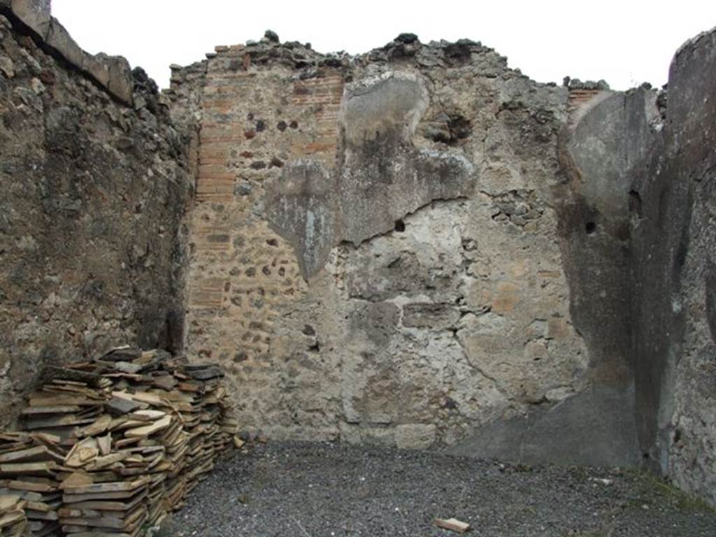VII.9.47 Pompeii.  March 2009.  Room 12.  Oecus. North wall.