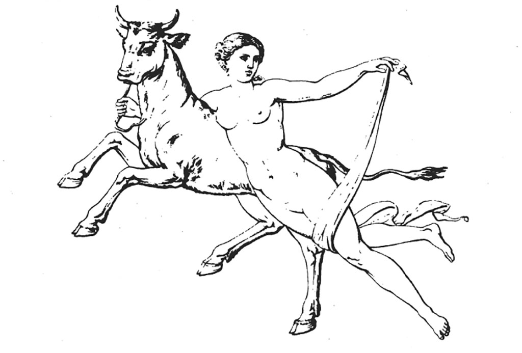 VII.9.60/63 Pompeii. 1827. Drawing of Europa on the bull, from a wall in the same room as the other paintings.
See Reinach S., 1922. Répertoire de peintures grecques et romaines. Paris Leroux. (pl. 14,6).
See Zahn, W., 1828. Die schönsten Ornamente und merkwürdigsten Gemälde aus Pompeji, Herkulanum und Stabiae: I. Berlin: Reimer, (Taf. 38).
(Note: there would seem to be some confusion here -
According to RMB, this painting was found in the centre of the wall opposite the drawing of a painting of Hercules and Iole which was found in VI.7.6.
It was thought to be an interpretation of Jupiter kidnapping Europa, (Europa on the bull) but in this painting it was recognised as a Baccante celebrating with the Dionysian bull.
In this house, there was no mention of a painting of Hercules and Iole being found in the same room, just Venus Pescatrice and Narcissus.)
See Real Museo Borbonico III, 1827, Ta. XIX.