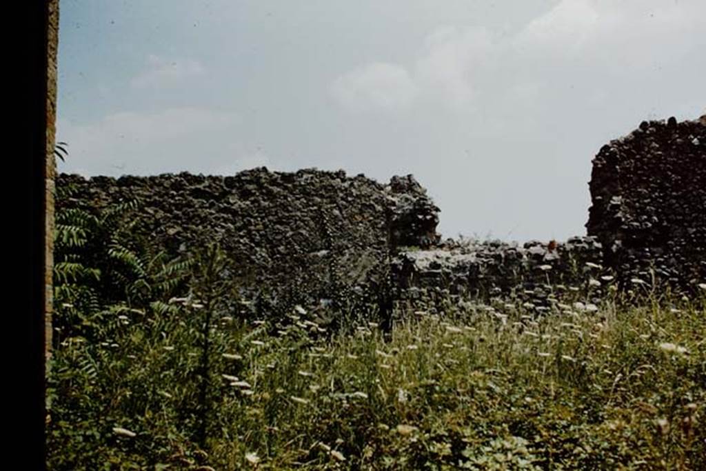 VII.11.1 Pompeii. 1959. Looking towards east wall. Photo by Stanley A. Jashemski.
Source: The Wilhelmina and Stanley A. Jashemski archive in the University of Maryland Library, Special Collections (See collection page) and made available under the Creative Commons Attribution-Non Commercial License v.4. See Licence and use details. J59f0104