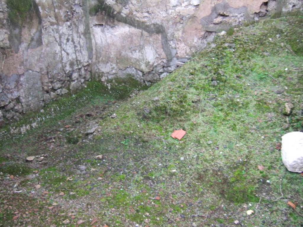 VII.11.2 Pompeii. December 2005.