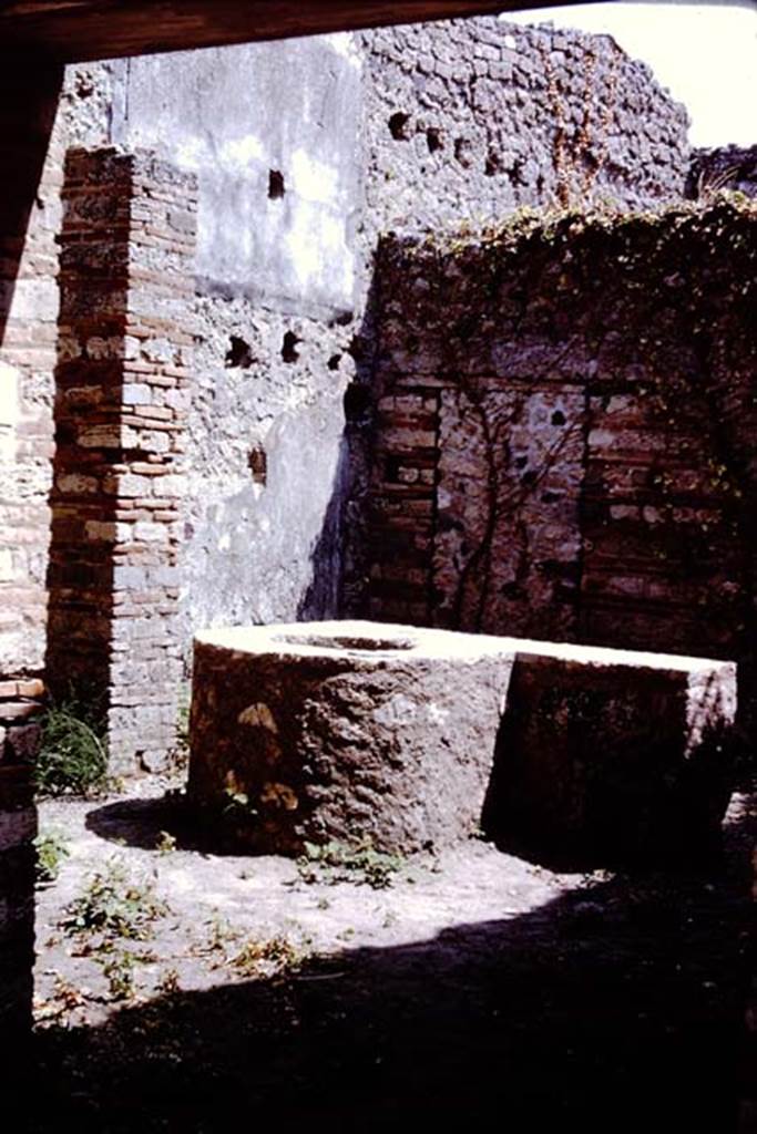 VII.11.7 Pompeii. 1966. Looking south-east across masonry trough to rear room.
Photo by Stanley A. Jashemski.
Source: The Wilhelmina and Stanley A. Jashemski archive in the University of Maryland Library, Special Collections (See collection page) and made available under the Creative Commons Attribution-Non Commercial License v.4. See Licence and use details.
J66f0730