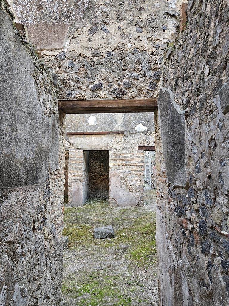 VII.11.11 Pompeii. November 2024. 
Detail from upper walls in entrance corridor, looking south. Photo courtesy of Annette Haug.