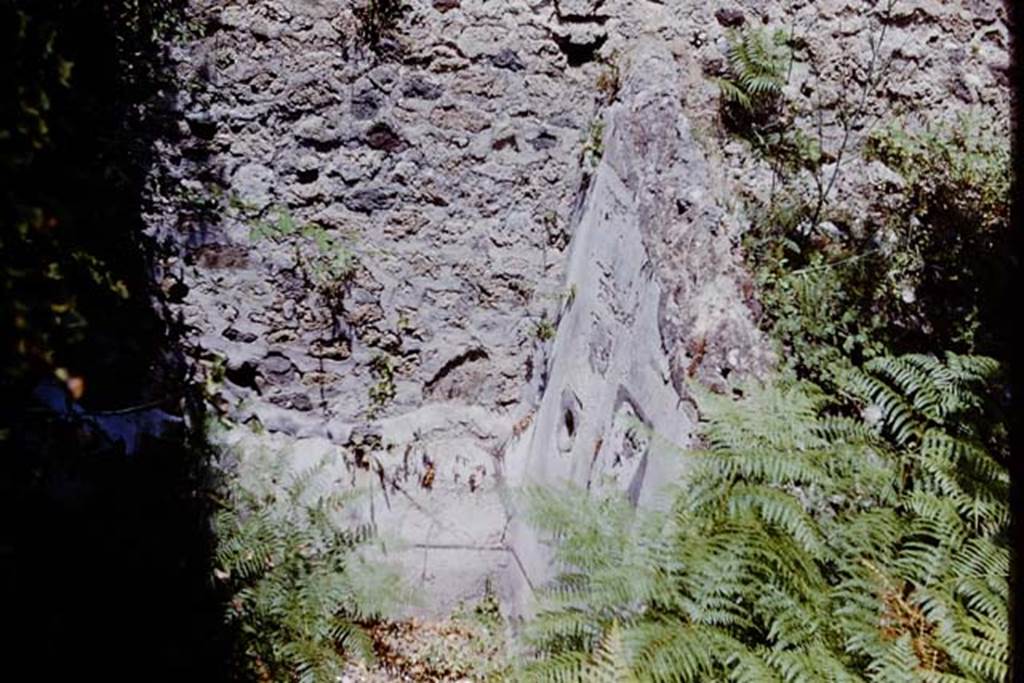 VII.11.14 Pompeii. 1966.  Garden “C”, painted decoration on north and east wall of third small garden room in north-west corner. Photo by Stanley A. Jashemski.
Source: The Wilhelmina and Stanley A. Jashemski archive in the University of Maryland Library, Special Collections (See collection page) and made available under the Creative Commons Attribution-Non Commercial License v.4. See Licence and use details. J66f0715