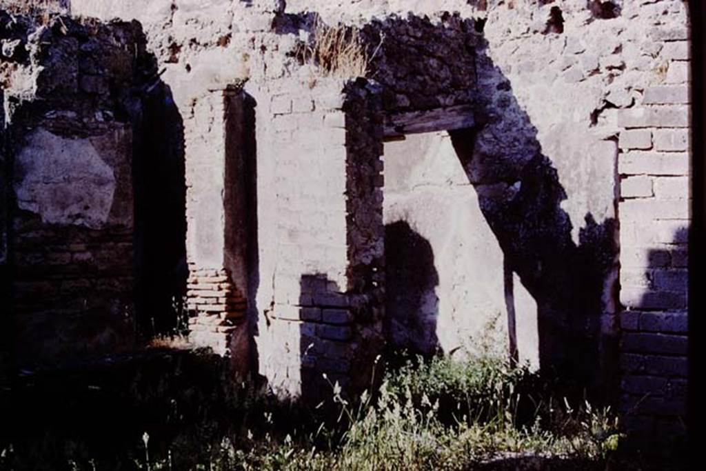 VII.11.14 Pompeii, 1978. North-east corner of garden area “A”, with step (under weeds on right) to entrance passageway, room 1. Photo by Stanley A. Jashemski.   
Source: The Wilhelmina and Stanley A. Jashemski archive in the University of Maryland Library, Special Collections (See collection page) and made available under the Creative Commons Attribution-Non Commercial License v.4. See Licence and use details. J78f0106
