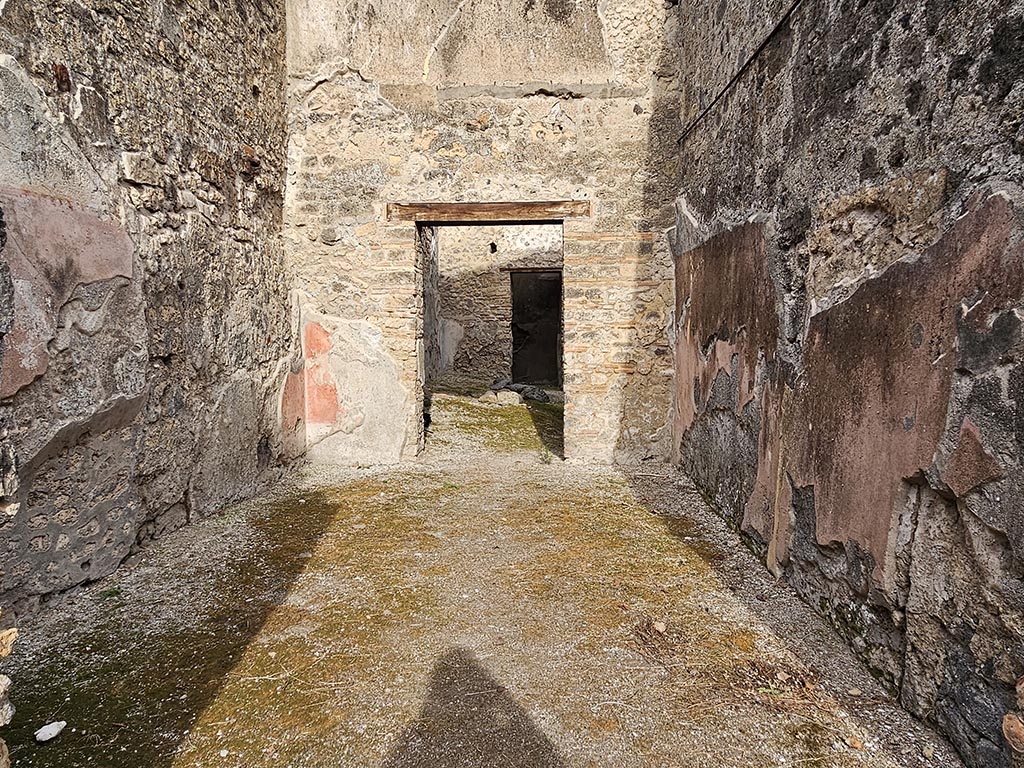VII.11.14 Pompeii. November 2024.
Room 7, looking towards north wall of tablinum, with doorway to the atrium, room 8. Photo courtesy of Annette Haug.