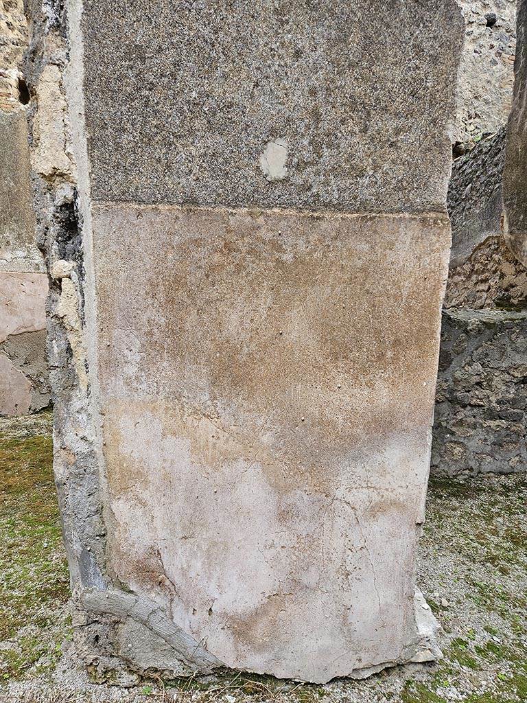 VII.11.11/14 Pompeii. November 2024. 
Room 8, east side of atrium, detail of stucco on zoccolo at south end between doorways to rooms 12 and 13. 
Photo courtesy of Annette Haug.