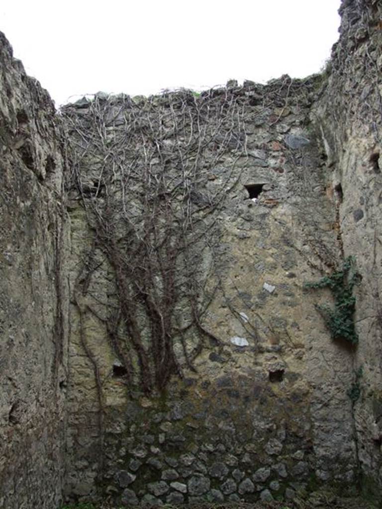 VII.11.14 Pompeii.  March 2009. Garden “B”. East wall of small room.