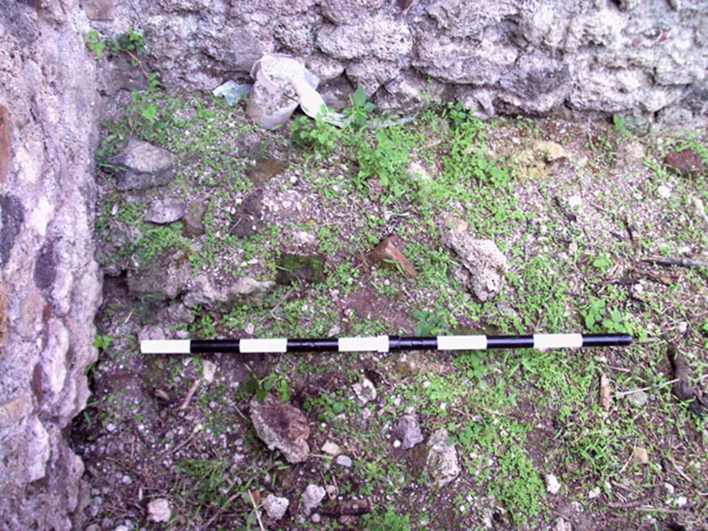 VII.12.11 Pompeii. July 2008. Detail from north-west corner of room on west side of oven.
Photo courtesy of Jared Benton.