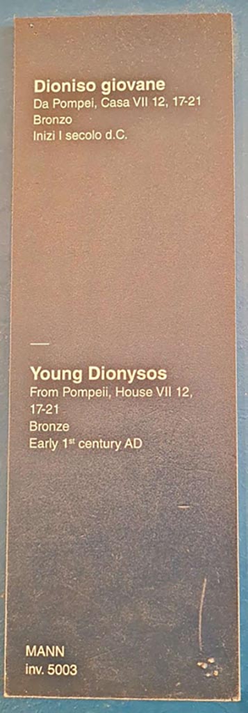 VII.12.21 Pompeii. October 2023.
Description card for Young Dionysus inv. 5003. Photo courtesy of Giuseppe Ciaramella.