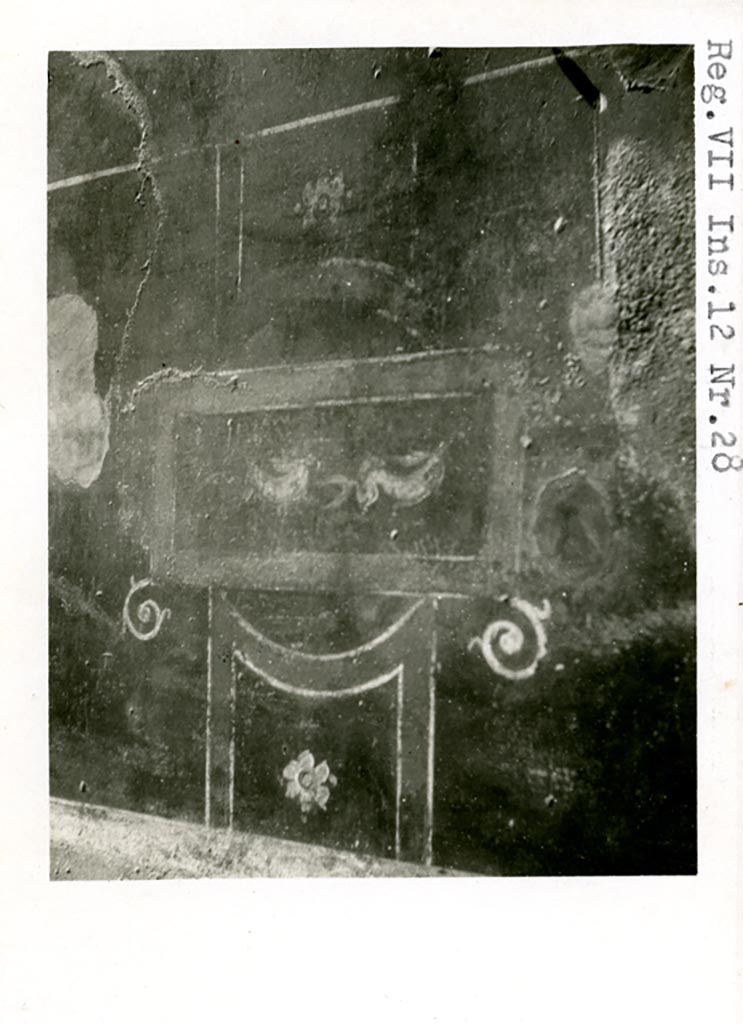 VII.12.28 Pompeii. Pre-1937-39. 
Painted panel with dolphins from south end of west wall of the exedra.
Photo courtesy of American Academy in Rome, Photographic Archive. Warsher collection no. 679.
