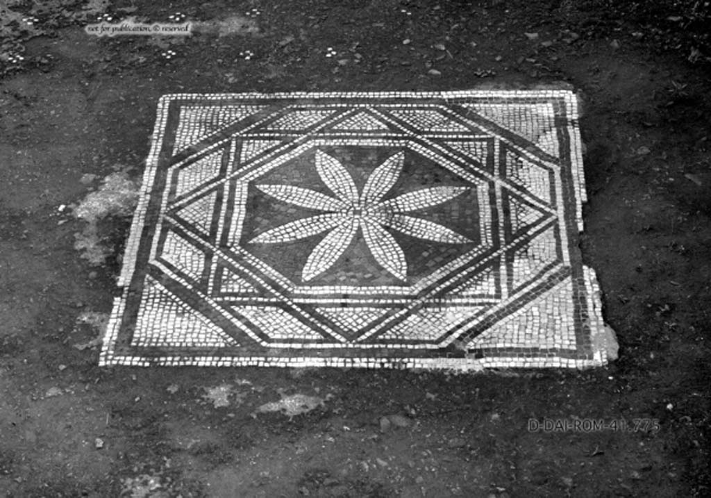 VII.13.4 Pompeii. c.1930. Room “i”, cubiculum on east side of atrium.
Mosaic central decoration set in floor of cocciopesto dotted with crosses made of four white tesserae, with a small black tile in the centre. 
DAIR 41.775. Photo © Deutsches Archäologisches Institut, Abteilung Rom, Arkiv.
See Pernice, E.  1938. Pavimente und Figürliche Mosaiken: Die Hellenistische Kunst in Pompeji, Band VI. Berlin: de Gruyter, (tav. 49.3, above.)
