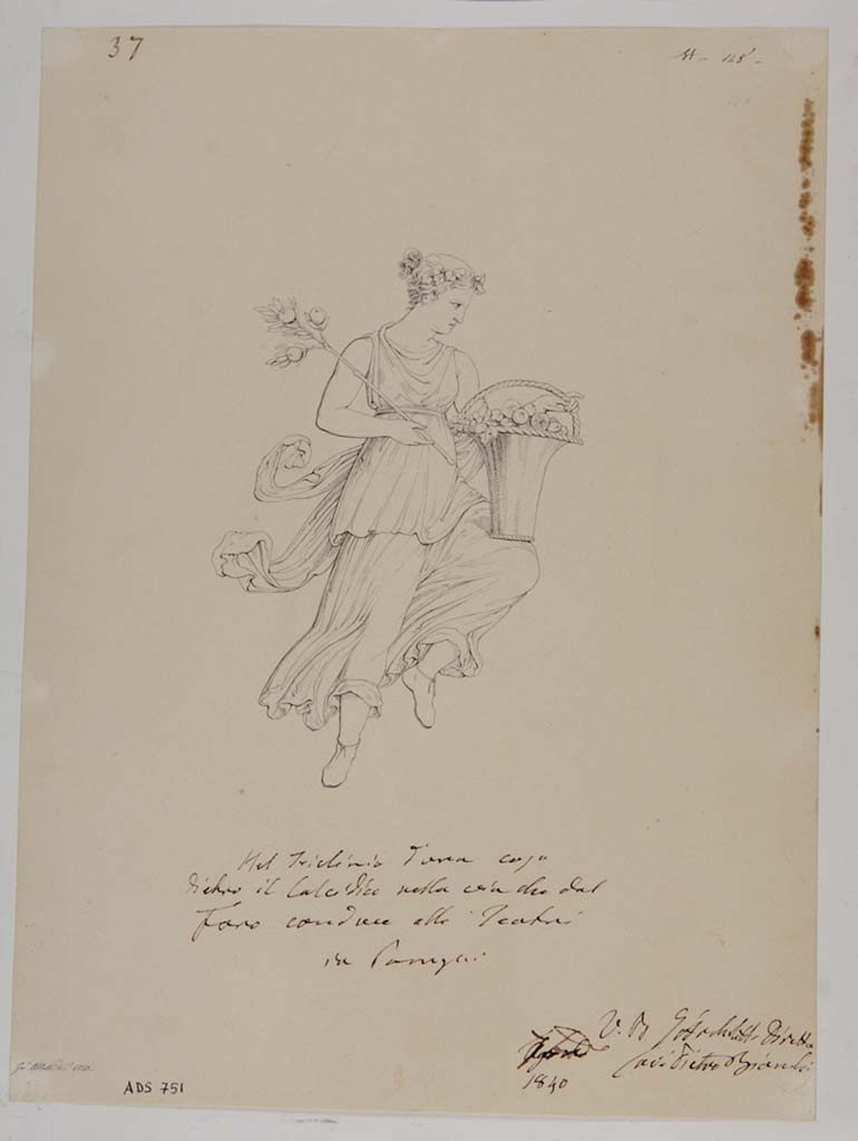 VII.13.4 Pompeii. Drawing by Giuseppe Abbate, 1840, of painting seen on wall of oecus/cubiculum.
This drawing has been described as Spring, but fits the description of Autumn better -
“Autumn crowned with vine-leaves, with a branch and a basket of fruit”. 
Now in Naples Archaeological Museum. Inventory number ADS 751.
Photo © ICCD. http://www.catalogo.beniculturali.it
Utilizzabili alle condizioni della licenza Attribuzione - Non commerciale - Condividi allo stesso modo 2.5 Italia (CC BY-NC-SA 2.5 IT)