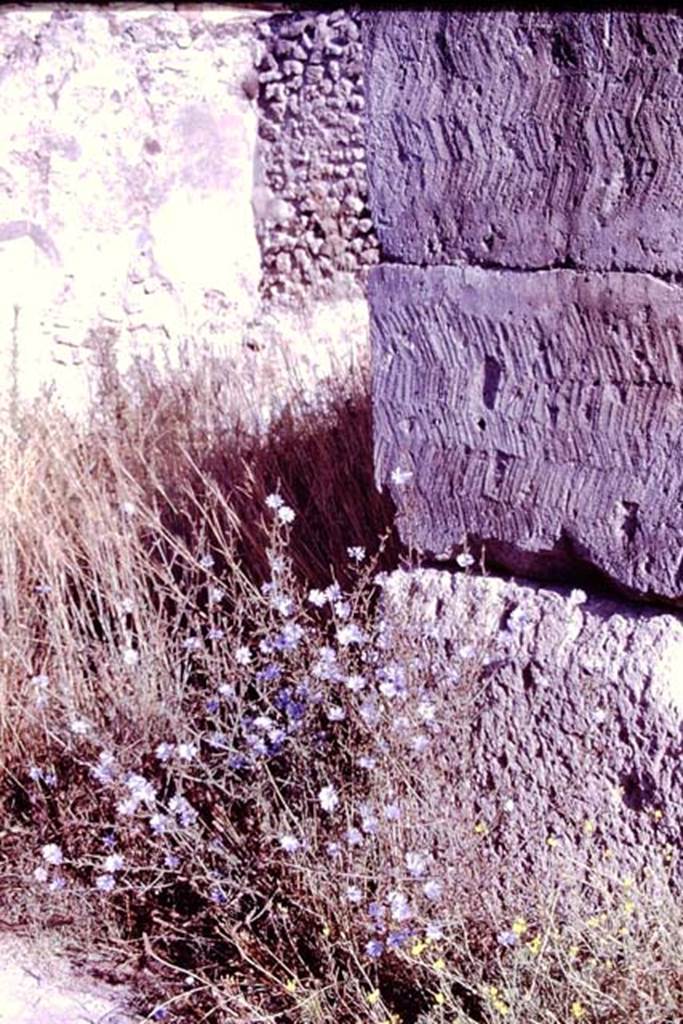 VII.13.6 Pompeii. 1966. Pilaster with cut-marks, between VII.13.5 and VII.13.6. Photo by Stanley A. Jashemski.
Source: The Wilhelmina and Stanley A. Jashemski archive in the University of Maryland Library, Special Collections (See collection page) and made available under the Creative Commons Attribution-Non Commercial License v.4. See Licence and use details.
J66f0533