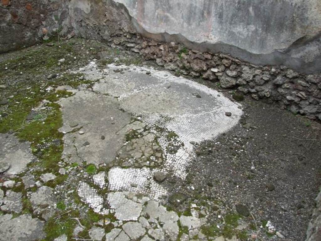 VII.14.5 Pompeii.  March 2009.  Room 2.  Mosaic floor.