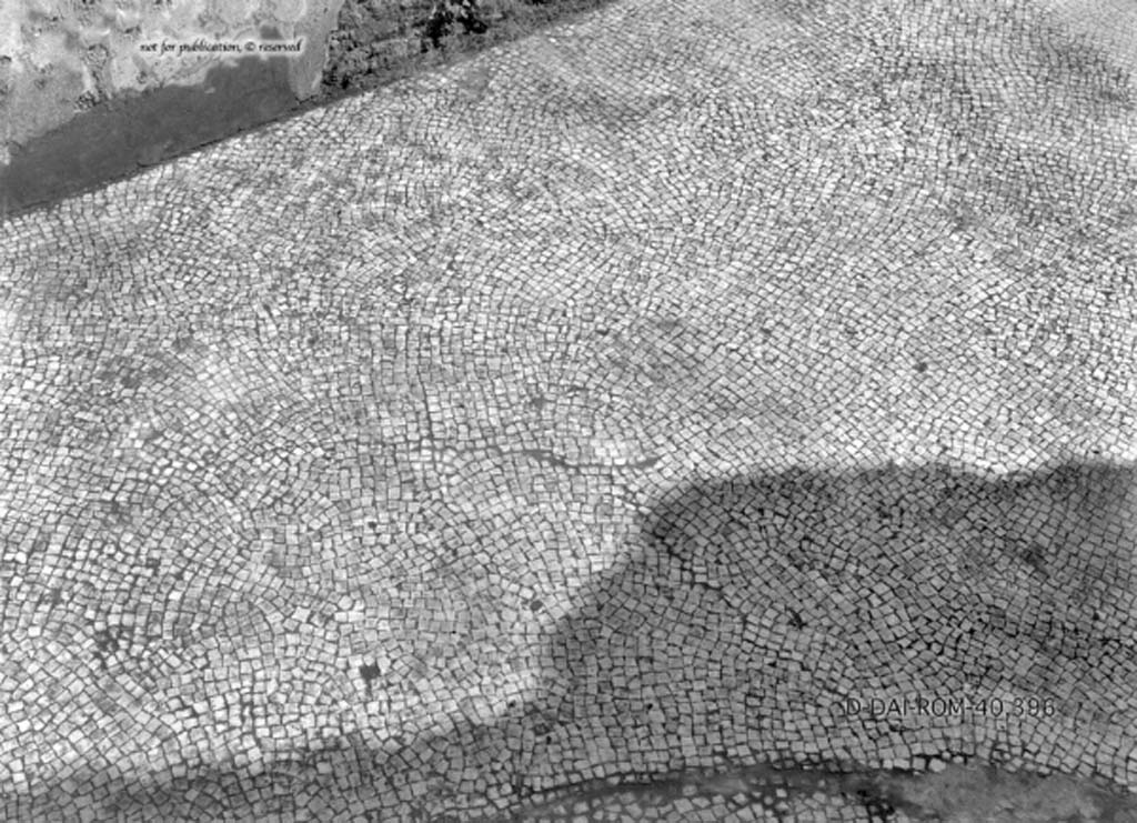 VII.14.5 Pompeii. c.1930. Room 2, mosaic floor.
DAIR 40.396. Photo © Deutsches Archäologisches Institut, Abteilung Rom, Arkiv.
See Pernice, E.  1938. Pavimente und Figürliche Mosaiken: Die Hellenistische Kunst in Pompeji, Band VI. Berlin: de Gruyter, 
(described as “room 10”, see tav. 15.6, above.)