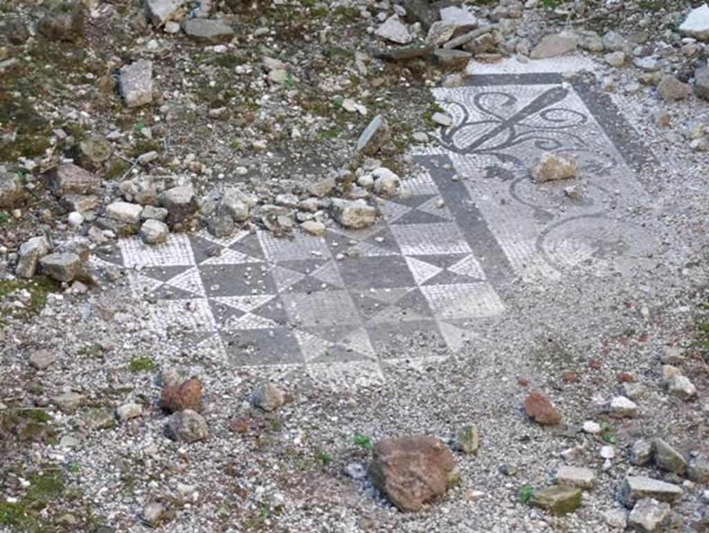 VII.15.2 Pompeii.  December 2007.  Bedroom on west side of Atrium.   Floor mosaic with a pattern of squares and triangles bordered with a garland of ivy.