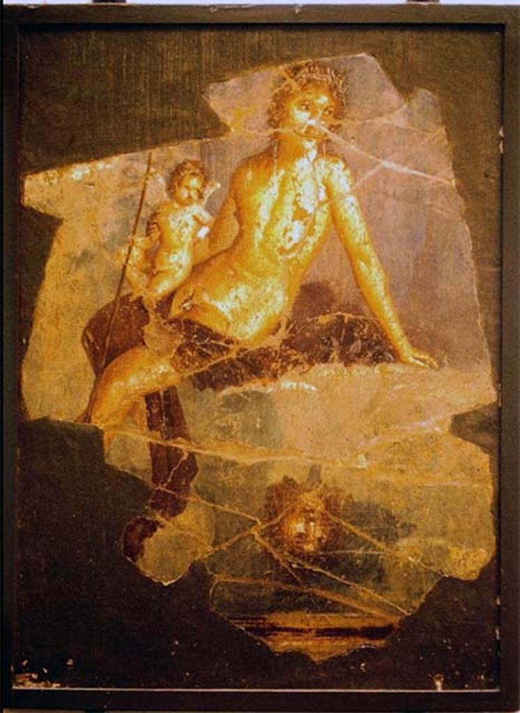 VII.15.2 Pompeii. Photographed in the Antiquarium in 1970. 
From tablinum. Painting of Narcissus and Eros. 
Narcissus wears a crown of ivy and is naked apart from a red cloak. 
Leaning on his left hand he is looking at the very clear image mirrored in the water. 
On his right thigh sits Eros also looking at the image in the water.
According to Sogliano, this was found in pieces and restored.
SAP inventory number 20877.
See Sogliano, A., 1879. Le pitture murali campane scoverte negli anni 1867-79. Napoli: Giannini, p.118, no.590.
See Garcia y Garcia, L., 2006. Danni di guerra a Pompei. Rome: L’Erma di Bretschneider, p. 185, fig. 429. 
According to GdS – 16 April 1872 –
Nell’isoletta XV,  e propriamente nella parte interna della seconda casa sul lato settentrionale del vicolo del gallo si era sterrato un dipinto a fresco, caduto sul pavimento del tablino, la cui parete sinistra ora abbattuta ne era anticamente decorata. Dai frammenti diligentemente raccolti e messi insieme risultala figura di Narciso coronato e sedente sopra un masso, che si specchia nel fonte, e sostiene un Amorino sulla gamba dritta, cui era poggiato il venabulo.
(In insula XV, and really in the inner part of the second house on the northern side of the Vicolo del Gallo, a fresco painting had been excavated, fallen down onto the floor of the tablinum, whose left wall was now fallen but once had been decorated. From the fragments diligently collected and put together resulted the figure of Narcissus crowned and seated upon a boulder, which is mirrored in the spring/fountain, and has a Cupid supported by his right leg, against which rested his hunting spear.)
See Giornale degli Scavi, 1872, April, 16,  (p.420)
