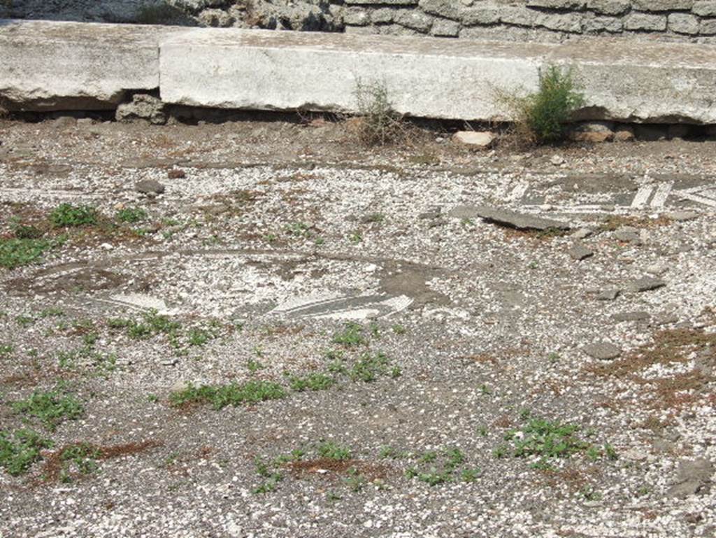 VII.15.2 Pompeii.  September 2005.  Detail of mosaic floor in Tablinum.