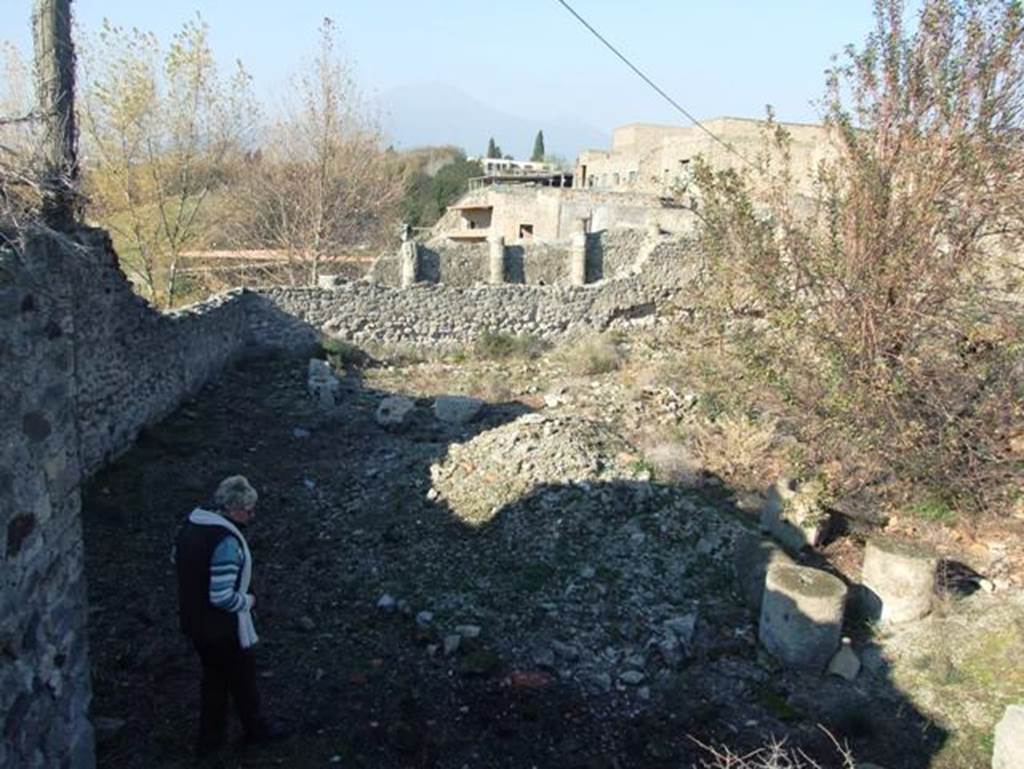 VII.15.2 Pompeii. December 2007.  Garden, looking north to House of Fabius Rufus, and Vesuvius at the rear. According to Garcia y Garcia, during the bombardment of 13th September 1943 two bombs fell on this house. One destroyed the latrine on the extreme west of the southern walkway of the portico. The other caused the demolition of a part of the perimeter wall of the garden on the north-west side of the house.
The changes to the area also caused the fall of the columns on the south portico. The collection of amphorae, provenanced from this house, that were stored in the garden were mostly destroyed.
See Garcia y Garcia, L., 2006. Danni di guerra a Pompei. Rome: L’Erma di Bretschneider. (p.126)