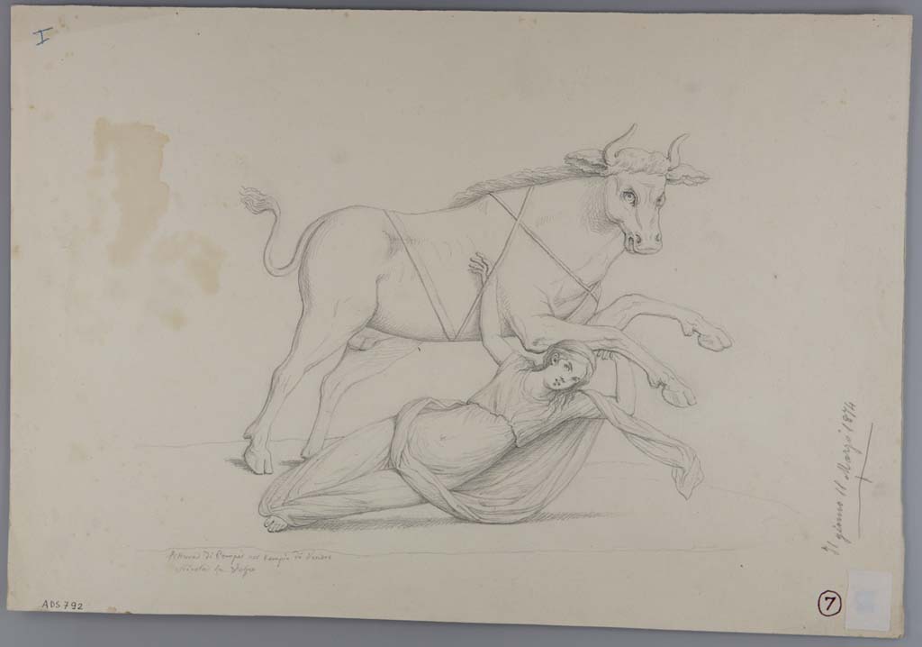 VII.15.2 Pompeii. Drawing by Nicola La Volpe, 11th March 1874, of detail of Dirce and the bull, from painting on east wall.
Now in Naples Archaeological Museum. Inventory number ADS 792.
Photo © ICCD. http://www.catalogo.beniculturali.it
Utilizzabili alle condizioni della licenza Attribuzione - Non commerciale - Condividi allo stesso modo 2.5 Italia (CC BY-NC-SA 2.5 IT)