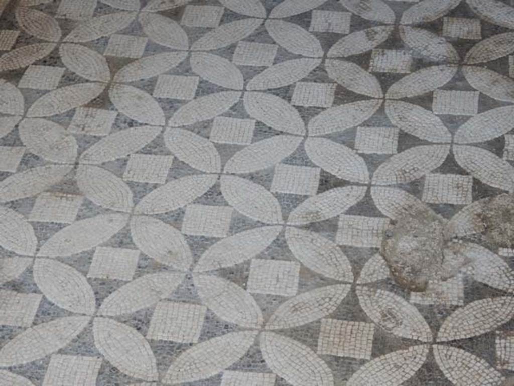 VII.15.2 Pompeii. May 2018. Detail of mosaic flooring in cubiculum. Photo courtesy of Buzz Ferebee.