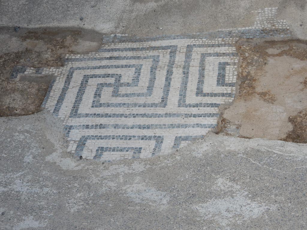 VII.15.2 Pompeii. May 2018. 
Detail of black and white mosaic in entrance corridor on east side, looking south. Photo courtesy of Buzz Ferebee.