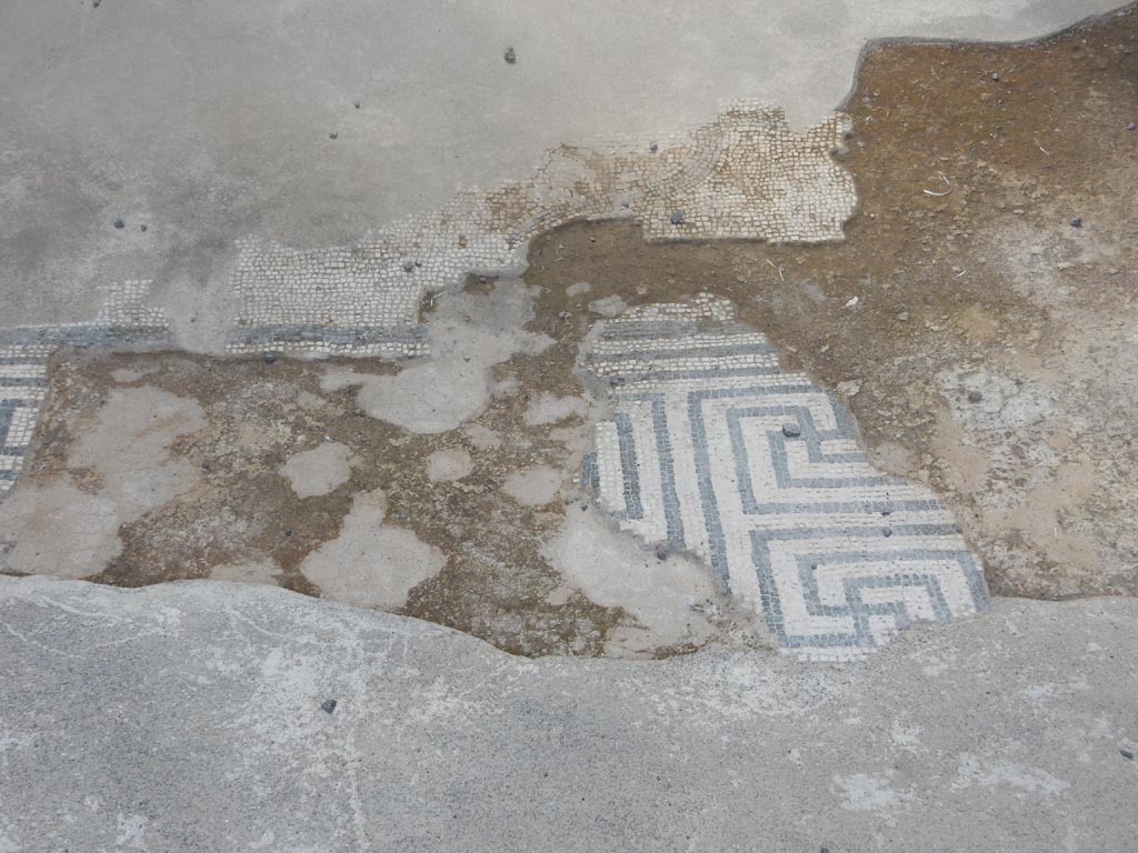 VII.15.2 Pompeii. May 2018. 
Detail of black and white mosaic in entrance corridor on west side, looking south. Photo courtesy of Buzz Ferebee.