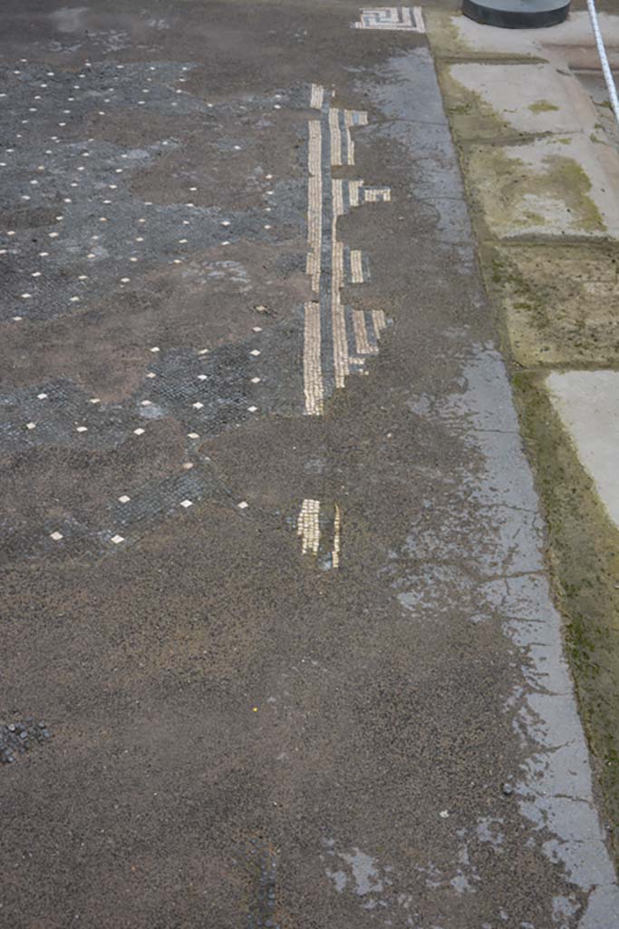 VII.15.2 Pompeii. November 2017. 
Looking north along mosaic decoration on west side of impluvium. 
Foto Annette Haug, ERC Grant 681269 DÉCOR.