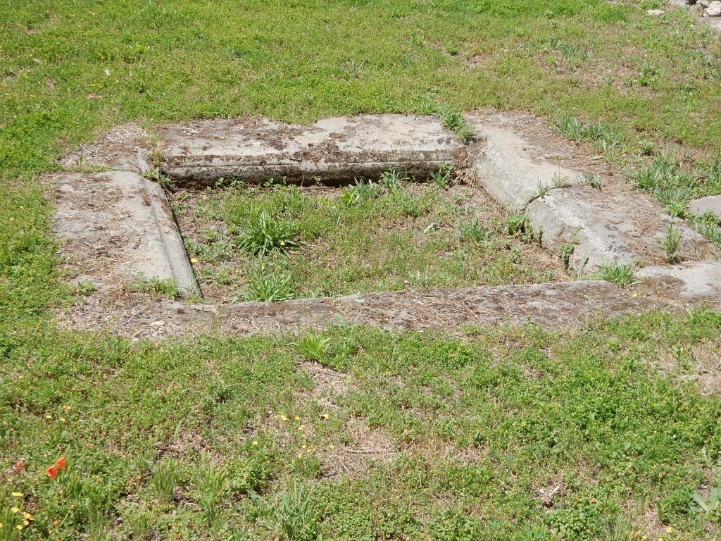 VII.16.12 Pompeii. June 2019. Room 24, impluvium in atrium. Photo courtesy of Buzz Ferebee.