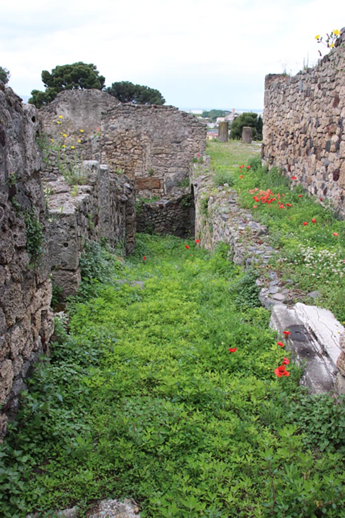 VII.16.12 Pompeii. May 2024. 
Looking west from doorway in atrium towards corridor 12, leading to lower levels of VII.16.13.
Photo courtesy of Klaus Heese.