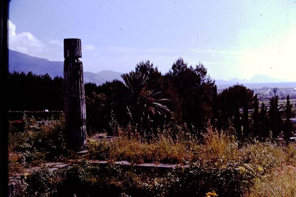 VII.16.13 Pompeii. 1961. Area 18, pool in peristyle, looking south-west towards the Sorrentine peninsula, and Capri. Photo by Stanley A. Jashemski.
Source: The Wilhelmina and Stanley A. Jashemski archive in the University of Maryland Library, Special Collections (See collection page) and made available under the Creative Commons Attribution-Non Commercial License v.4. See Licence and use details.
J61f0365