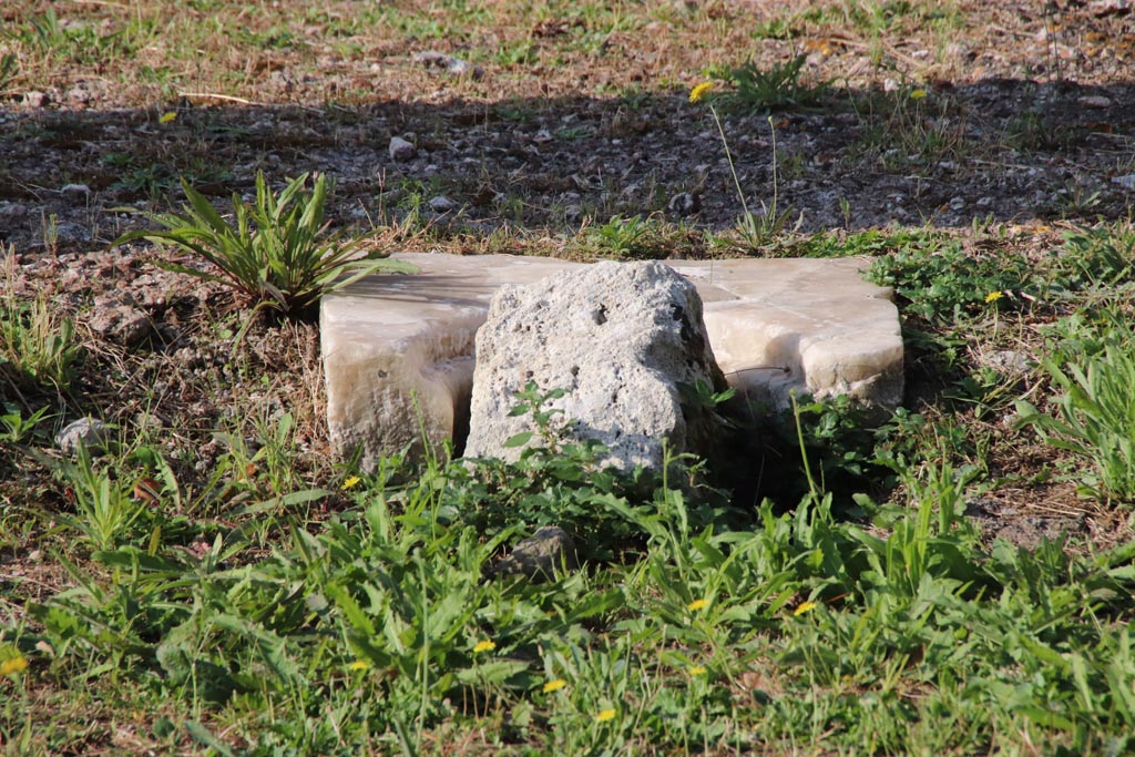 VII.16.13 Pompeii. October 2023. 
Room 2, remains of marble cistern mouth at west end of impluvium. Photo courtesy of Klaus Heese.