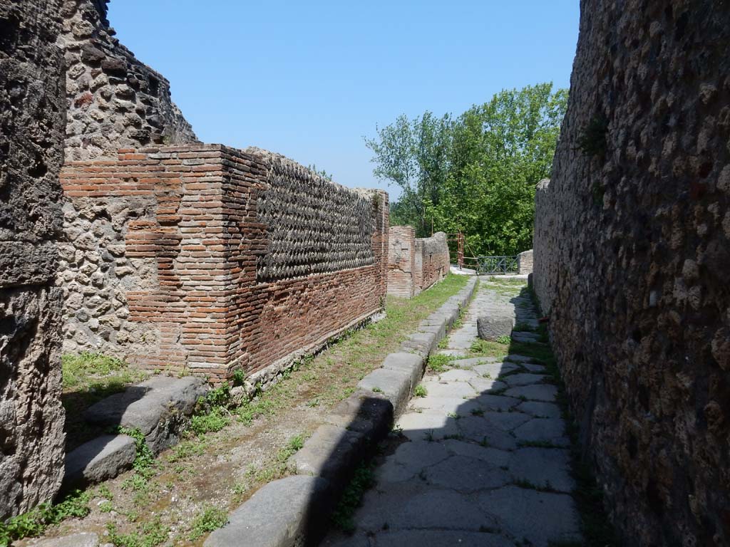 VII.16.14, Pompeii, on left. June 2019. Looking north in Vicolo del Gigante towards junction with Vicolo dei Soprastanti. 
Photo courtesy of Buzz Ferebee.