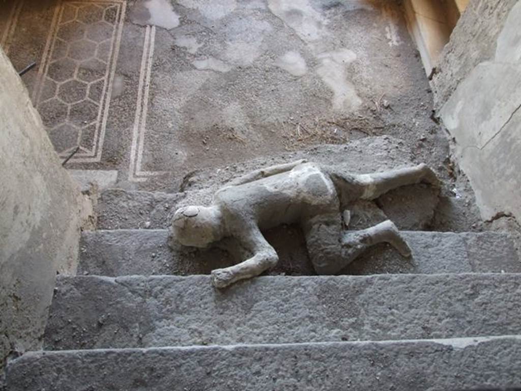 VII.16.17-22 Pompeii. December 2007. Plaster cast of body lying at foot of staircase.
Four people met their death in this house, three of them died huddled together on this staircase. They were discovered in November 1961. It was possible to make casts of the group of three. A copy of the plaster cast of the lowest of the three bodies remains where it was discovered.  The fourth skeleton was lying on the landing at the bottom of the stairs but only a photo remains of this skeleton.