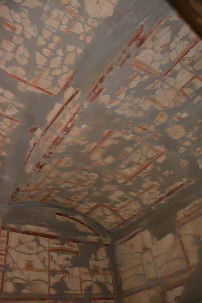VII.16.22 Pompeii. October 2018. Cubiculum 49, alcove at west end of ceiling.
Foto Annette Haug, ERC Grant 681269 DÉCOR.